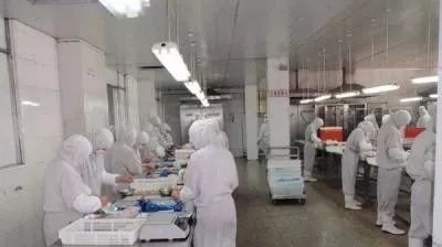 夏季、如何保障食品安全，阻挡小生物？